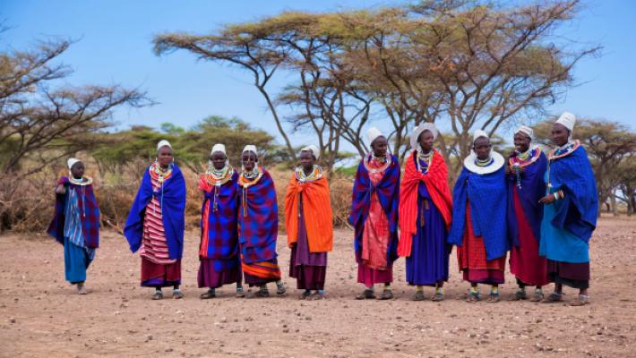 Tarangire, Manyara, Serengeti & Gombe Safari Adventure (14 Days)