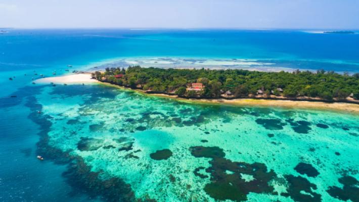 Zanzibar Beach & Safari Luxury Escape