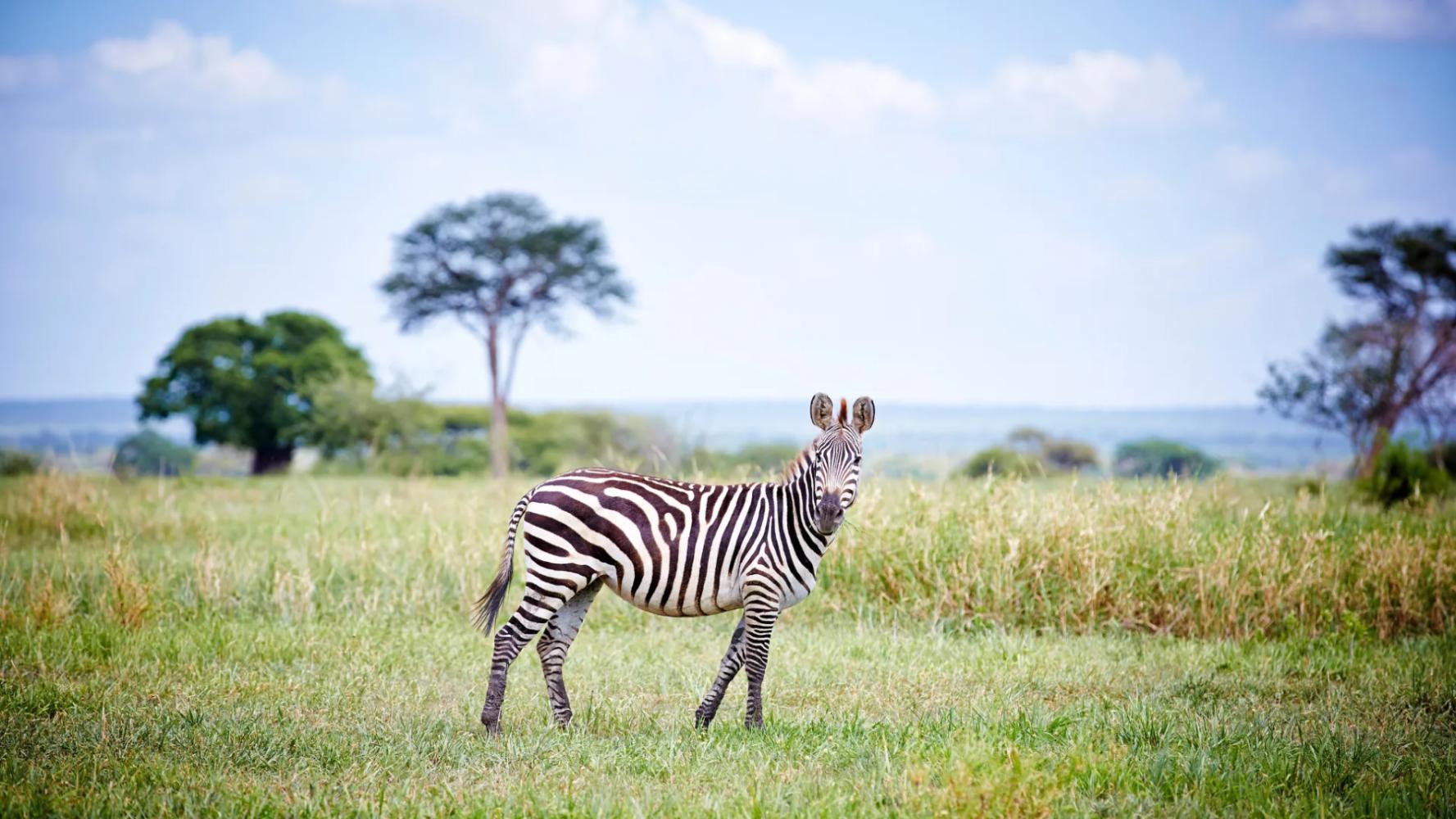 Sera Conservancy