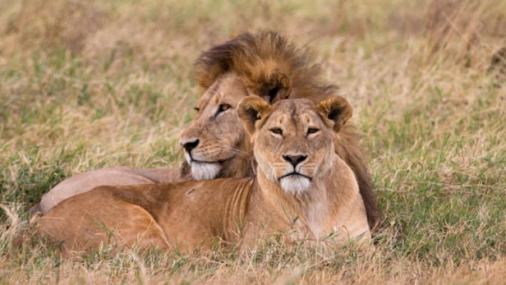 Chobe National Park