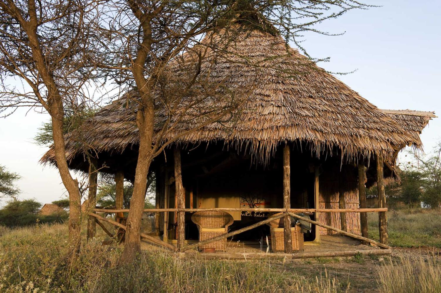 Kambi ya Tembo