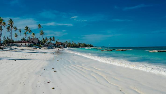 14-Day Luxurious Safari & Beach Honeymoon