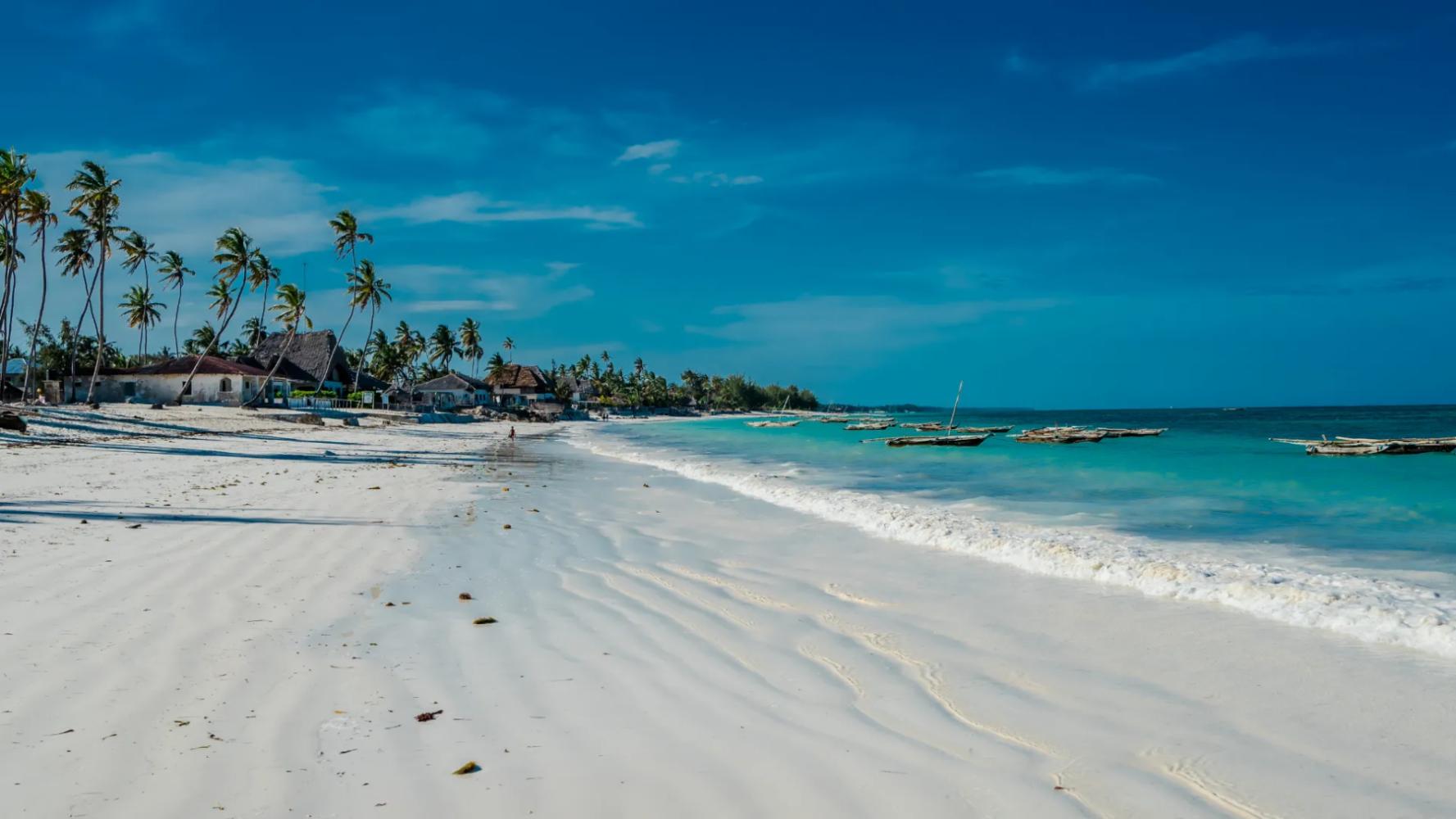 14-Day Luxurious Safari & Beach Honeymoon