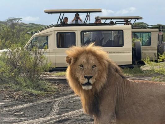 8 Days Northern Circuit Luxury Safari