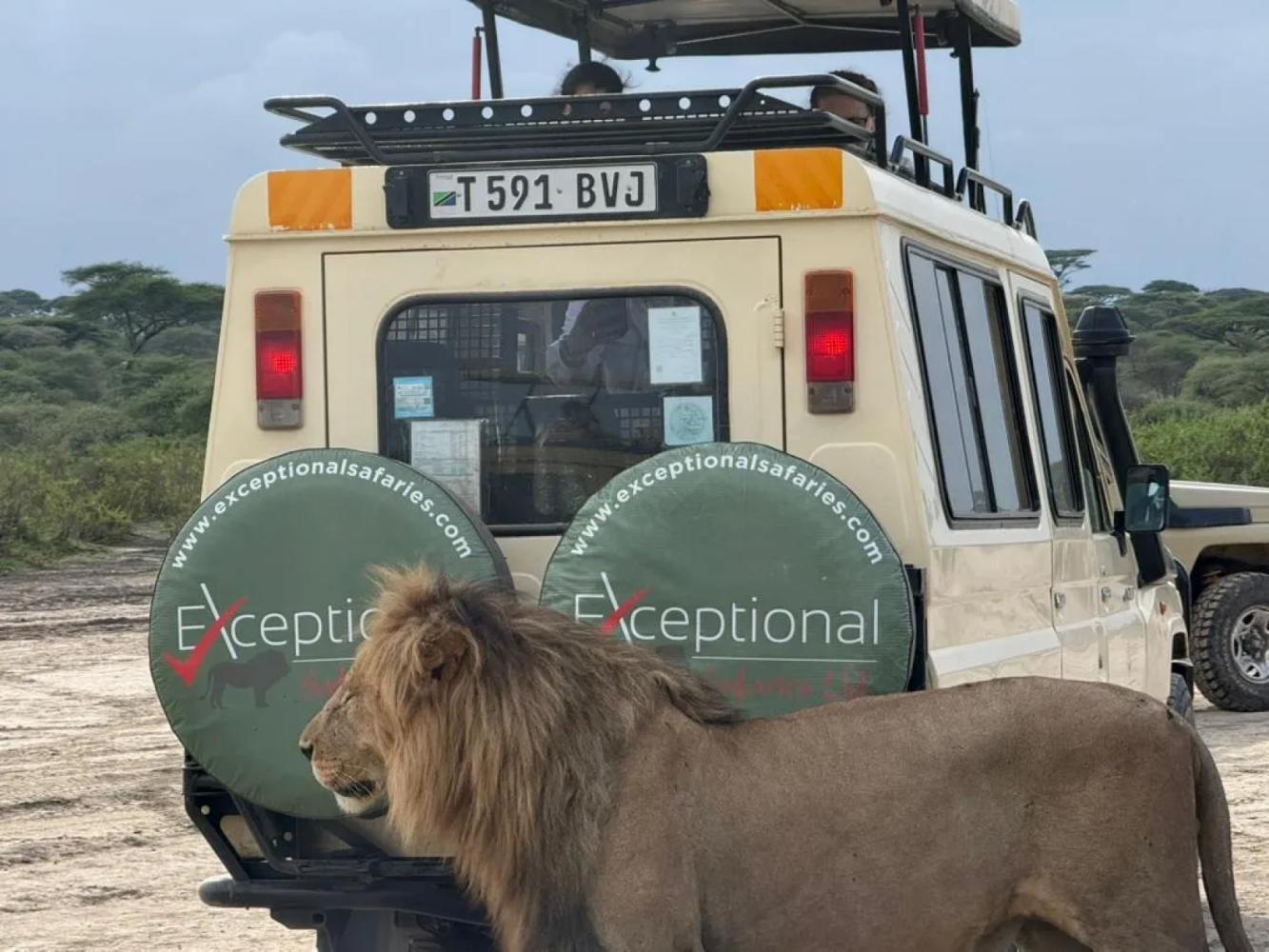4-Day Classic Serengeti Safari – Big Five Adventure in Tanzania’s Iconic Plains