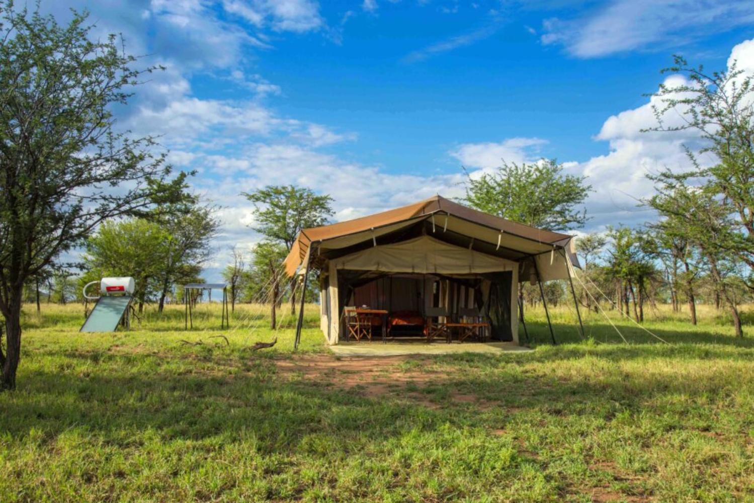 Serengeti Thorn Tree Camp