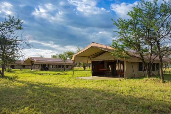 Serengeti Thorn Tree Camp