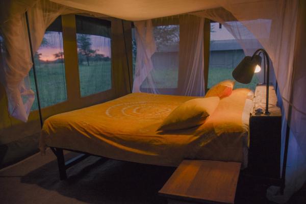 Serengeti Thorn Tree Camp