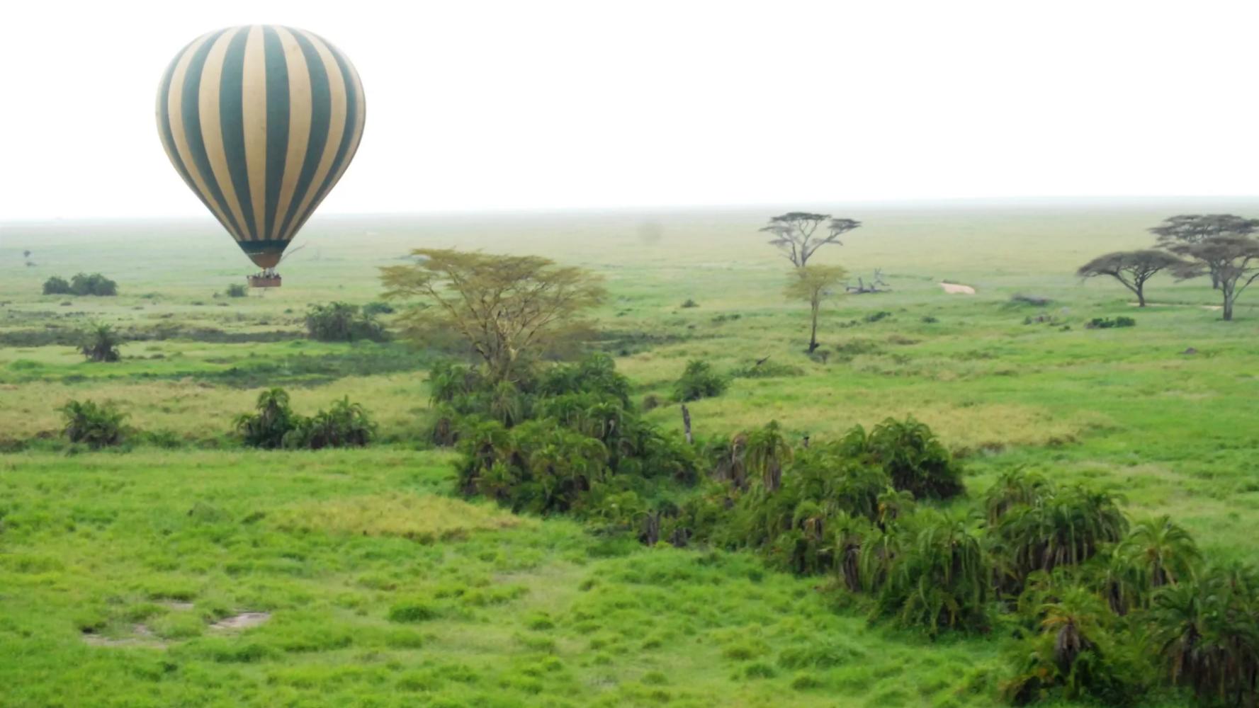 6 Days Tanzania Safari – Serengeti & Ngorongoro Wildlife Circuit
