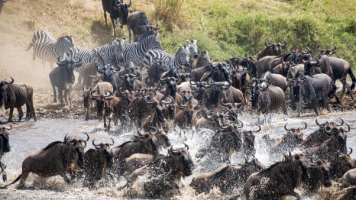8 Days Northern Circuit Luxury Safari