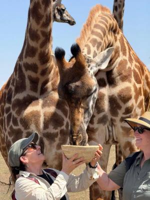 West Kilimanjaro Luxury Safari Itinerary (4 Days) – Exceptional Safaries Tanzania