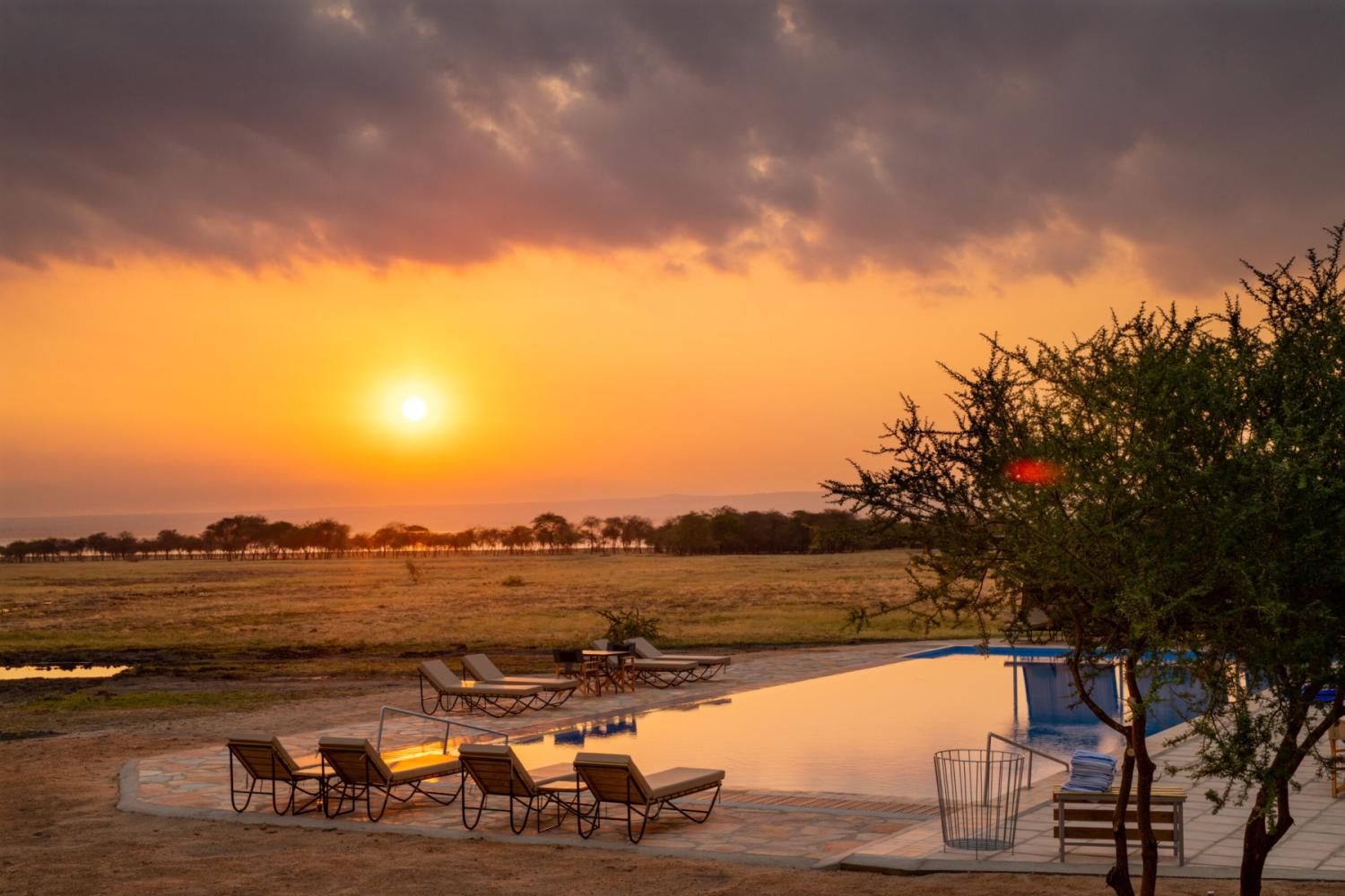 A New Standard of Safari Excellence