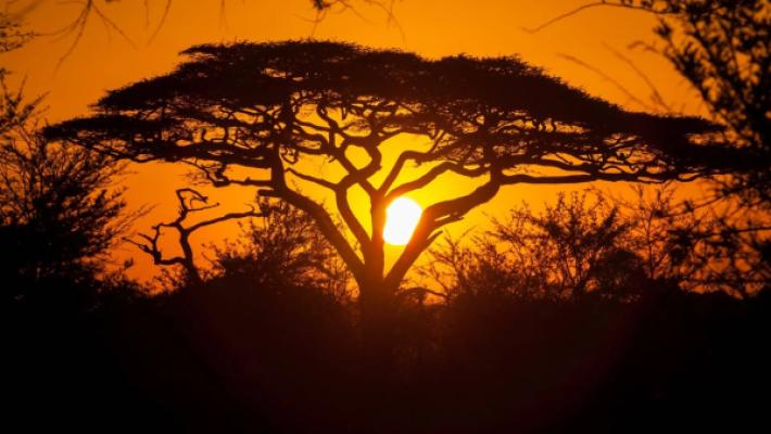 Southern Serengeti, Ngorongoro Crater, Lake Manyara and Tarangire – 10 Days