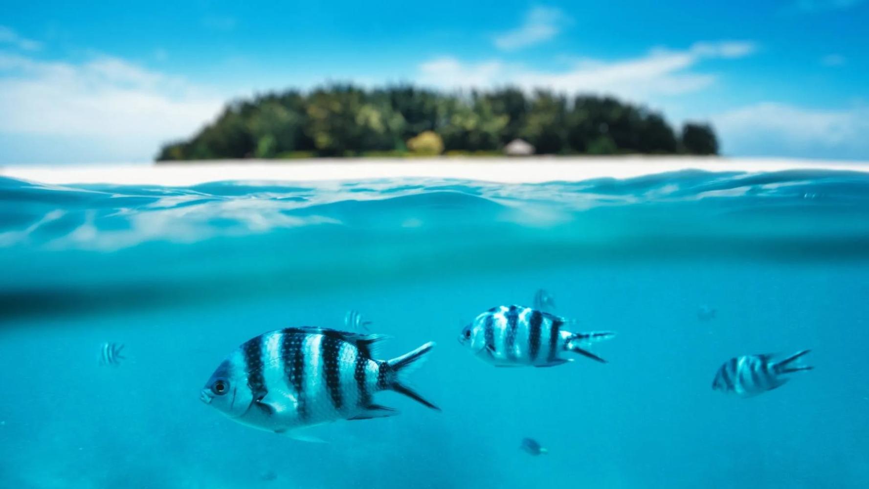 Zanzibar beach
