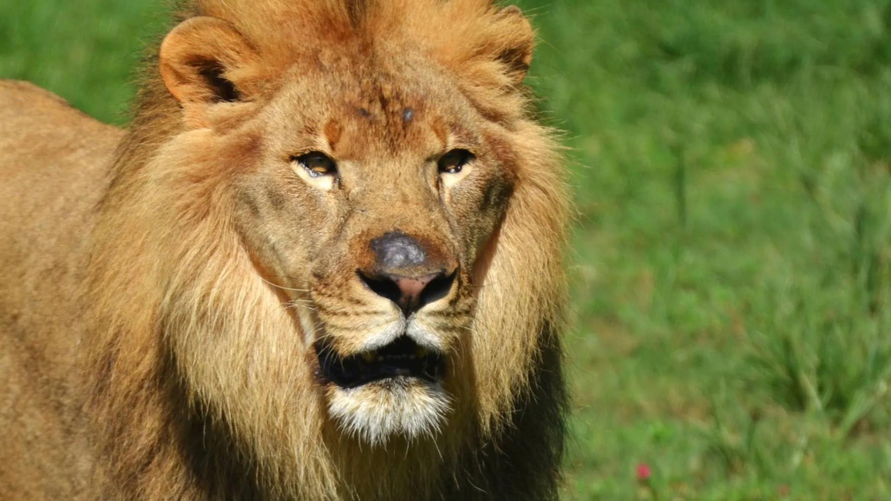 Serengeti National Park