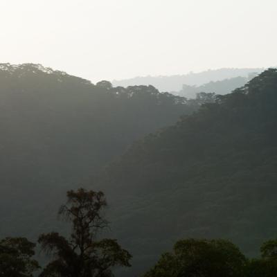 Misty forested hills of the Ngorongoro Highlands seen from Kitela Lodge