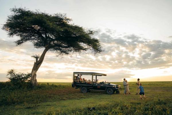 Game drive vehicle under an acacia tree on the Ndutu plains near Nyumbu Luxury Camp
