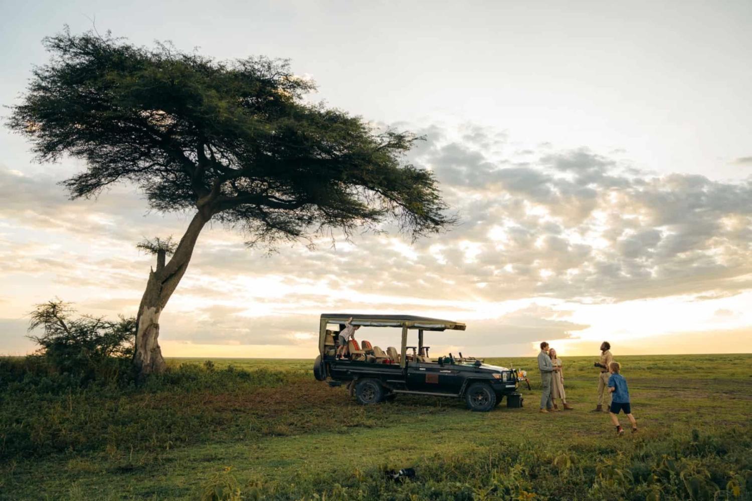 Game drive vehicle under an acacia tree on the Ndutu plains near Nyumbu Luxury Camp