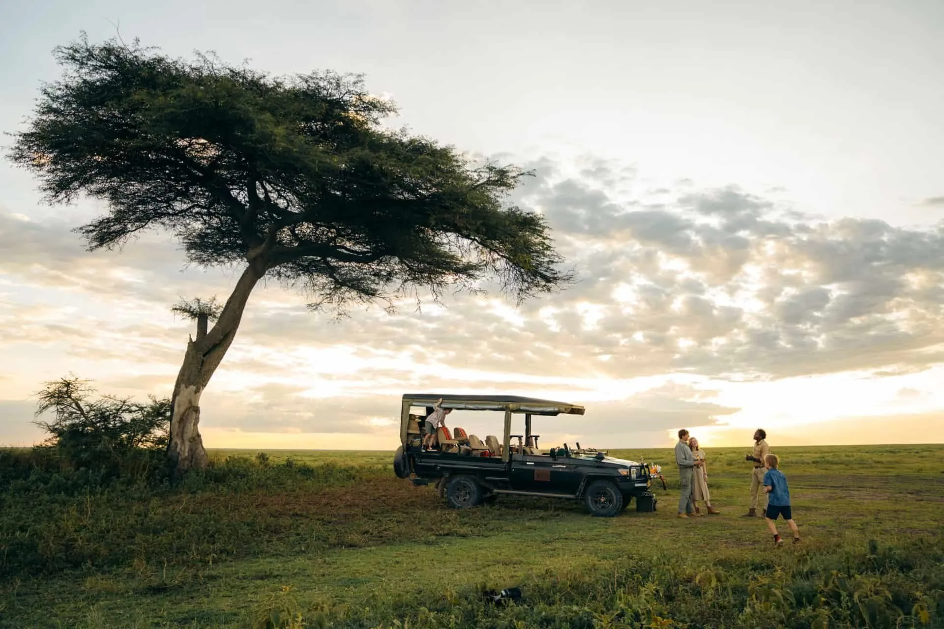 Game drive vehicle under an acacia tree on the Ndutu plains near Nyumbu Luxury Camp