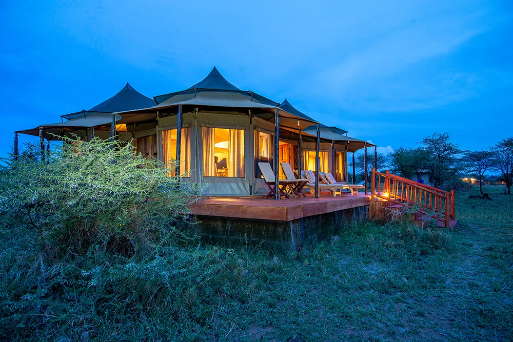 Acacia Seronera Luxury Camp