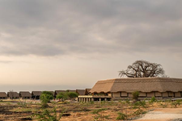 Thatched main lodge beneath a giant baobab at Lake Burunge Baobab South Lodge near Tarangire