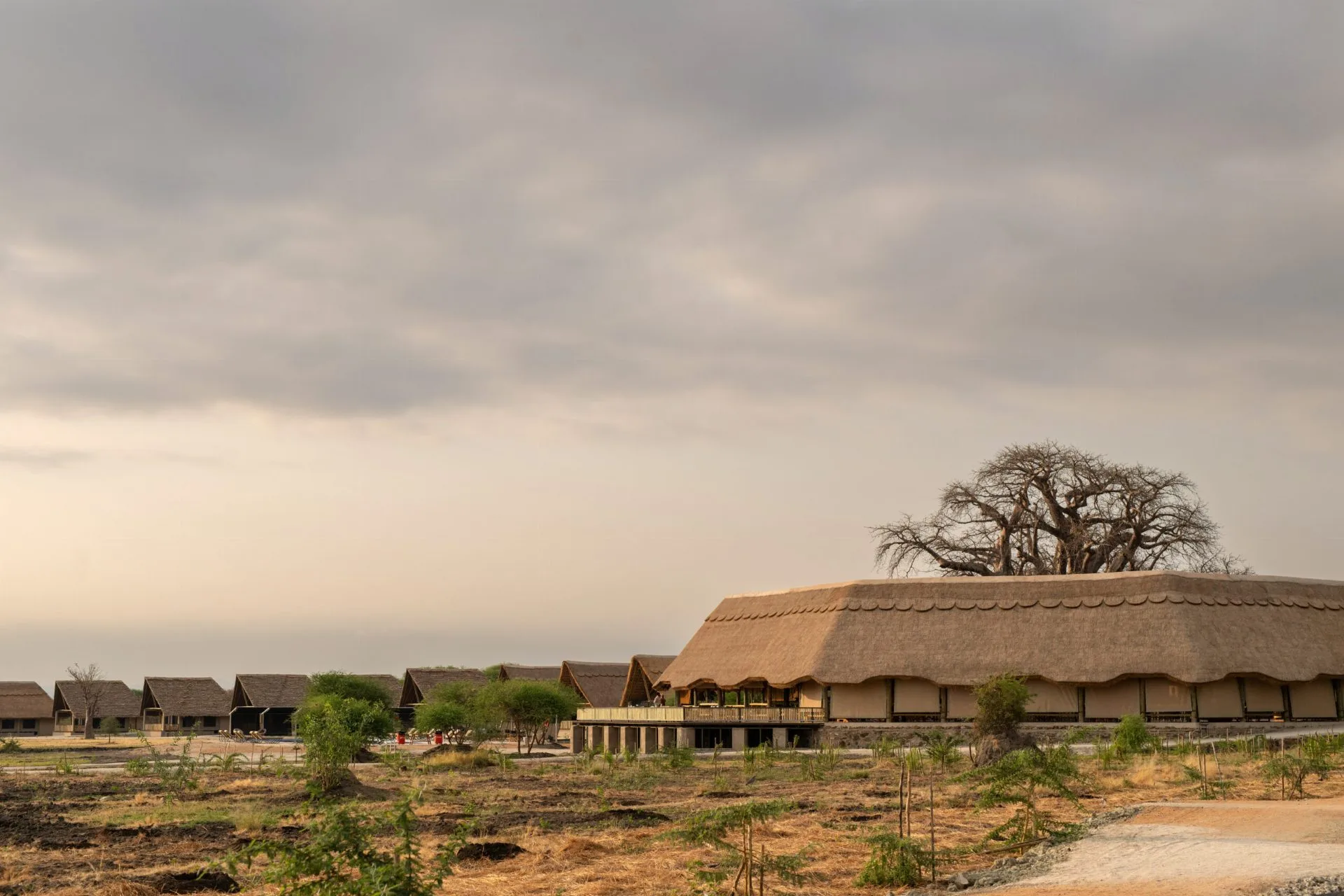 Thatched main lodge beneath a giant baobab at Lake Burunge Baobab South Lodge near Tarangire