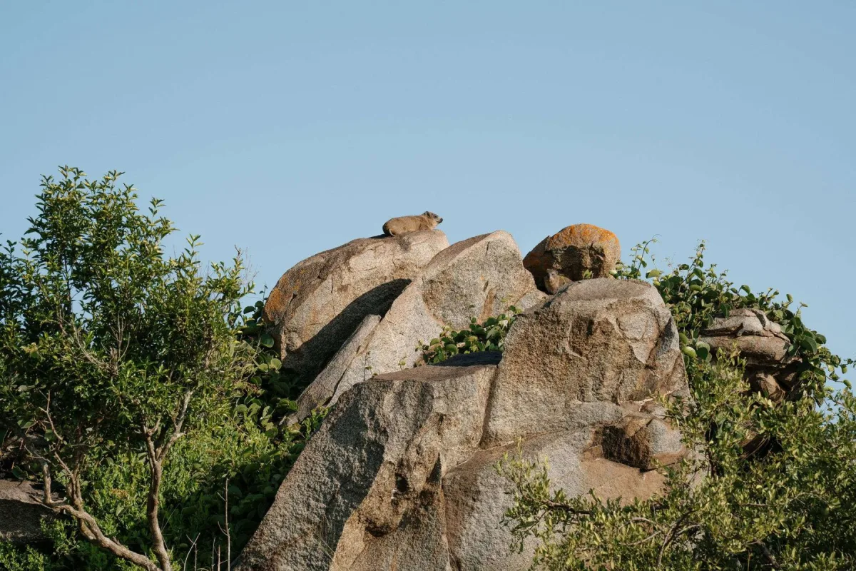 Granite kopje near Jackals Lair Camp in the central Serengeti