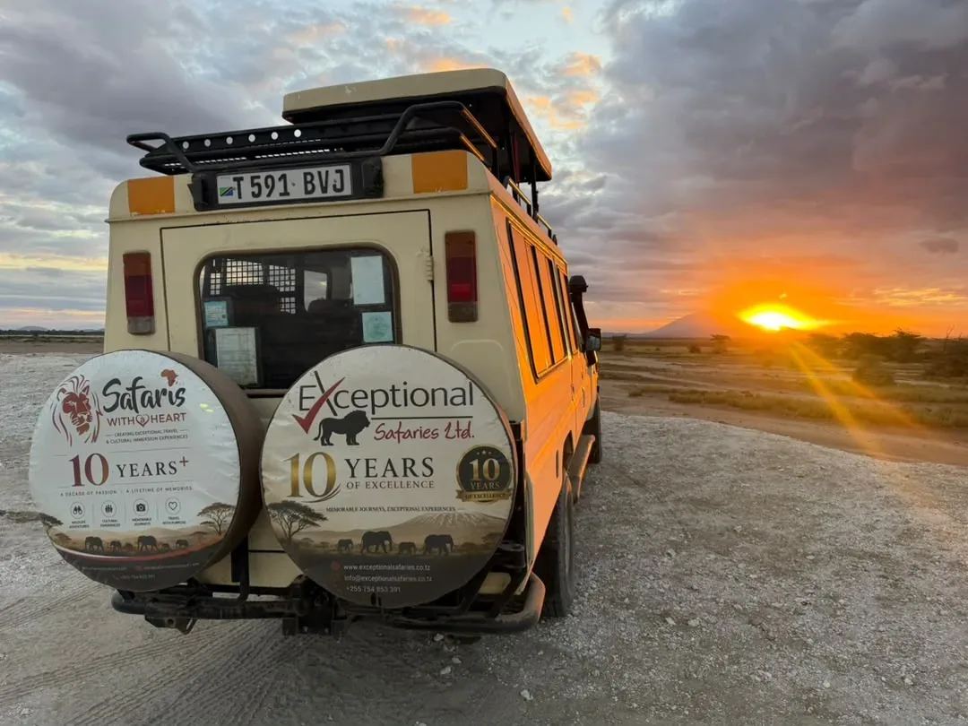 Plan your Tanzania safari