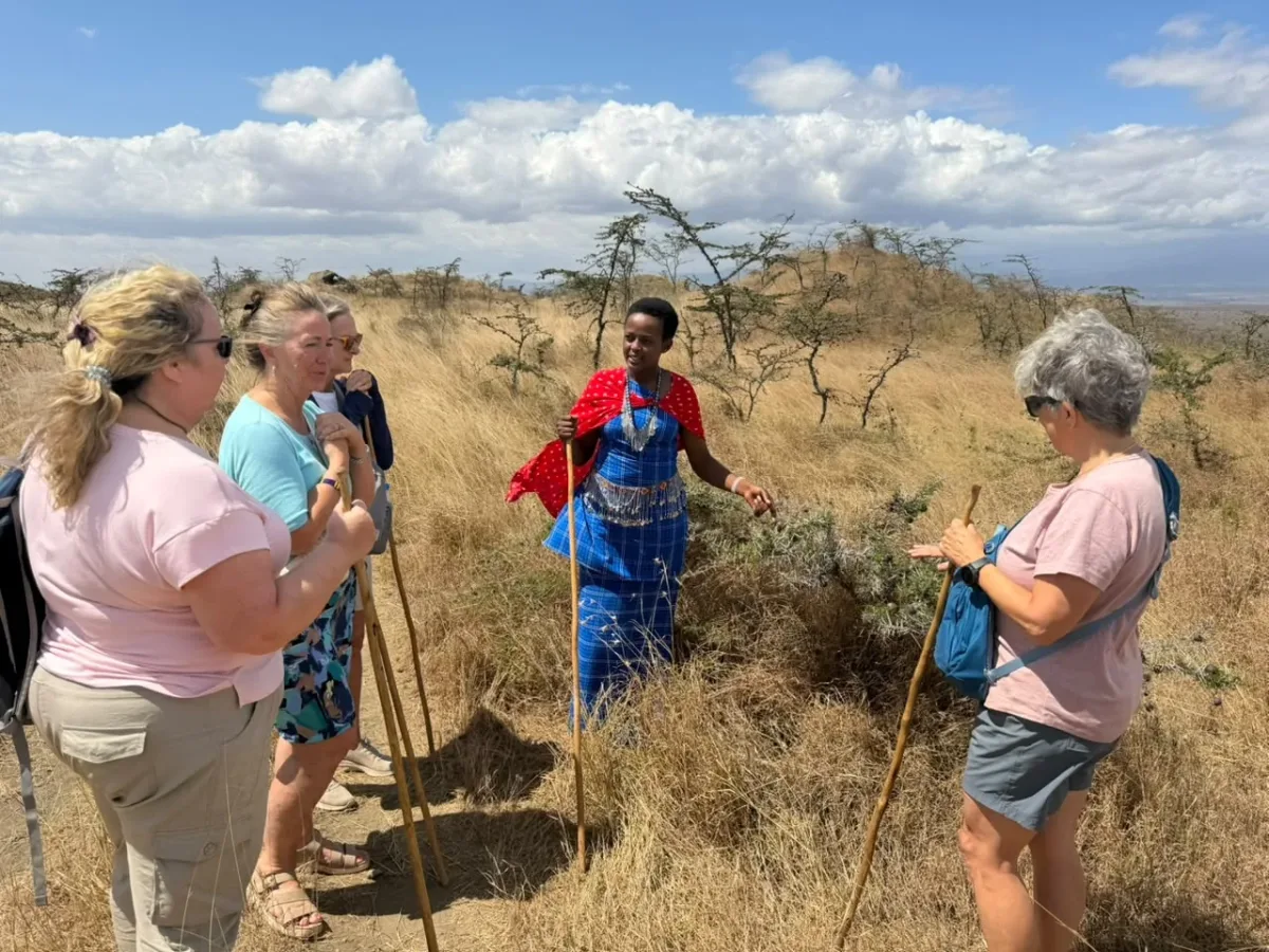 A Maasai guide showing guests the plants of the bush