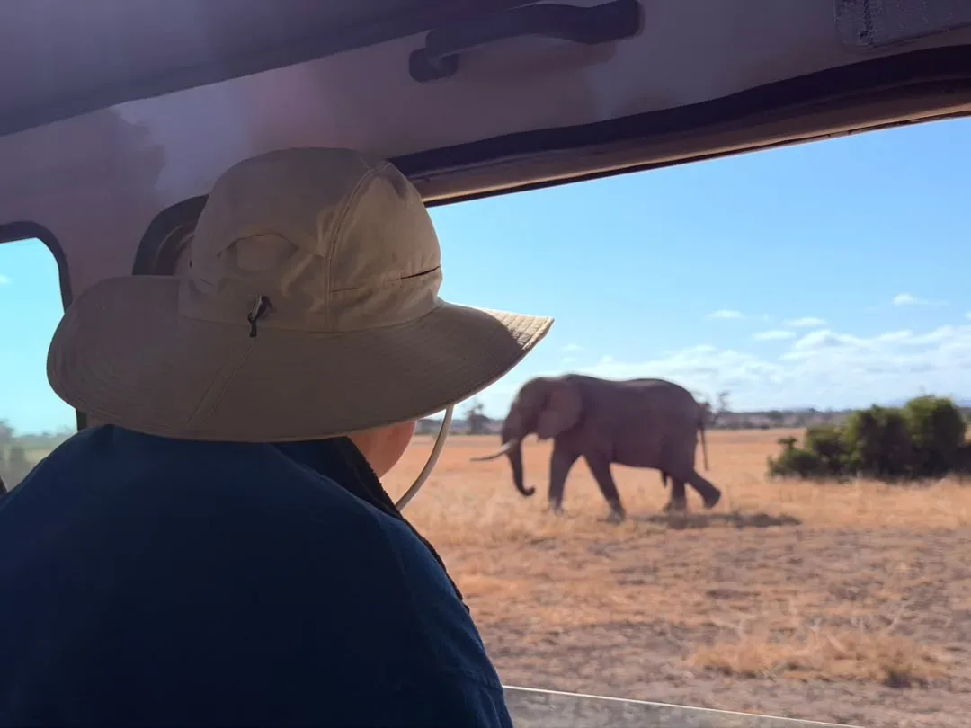 Enduimet – A guest watching an elephant from the safari vehicle window