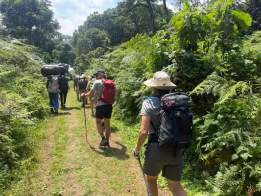 Kilimandjaro – Climbers walking through Kilimanjaro’s rainforest on the first day