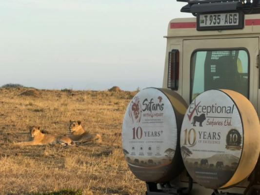 Serengeti National Park – A pair of lions lying near an Exceptional Safaries vehicle