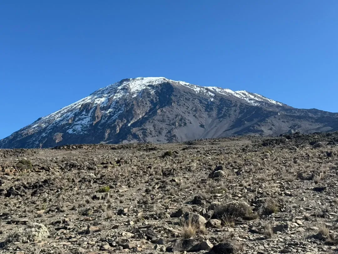 Kilimandscharo, Rongai-Route – 7 Tage – Kibo’s snowy summit seen across the alpine desert