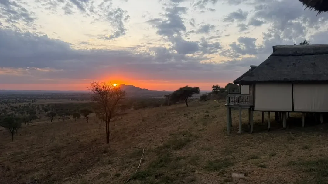 Beste Reisezeit für Tansania & Wetter – The sun going down over the savannah beside a thatched lodge