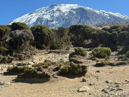 Mit dem Mountainbike am Kilimandscharo – Snow-capped Kibo rising above the Kilimanjaro moorland