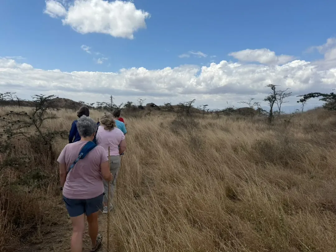 Osiligilai – Guests walking single file through tall golden grass under a blue sky