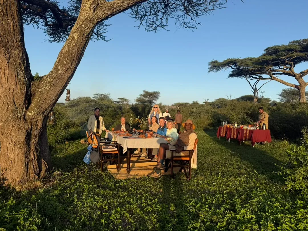 A bush breakfast set under a large acacia tree in the southern Serengeti