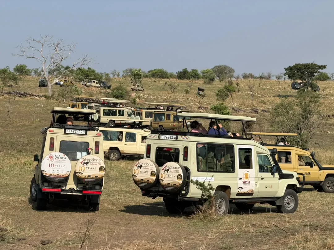 Norte del Serengeti – Safari vehicles waiting on the bank for a river crossing
