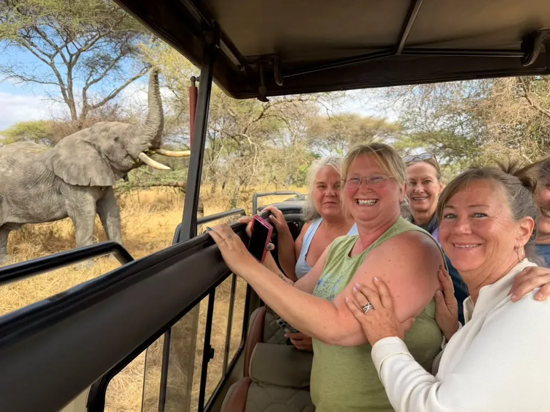 Tarangire-Nationalpark – Delighted guests with an elephant right beside the open vehicle
