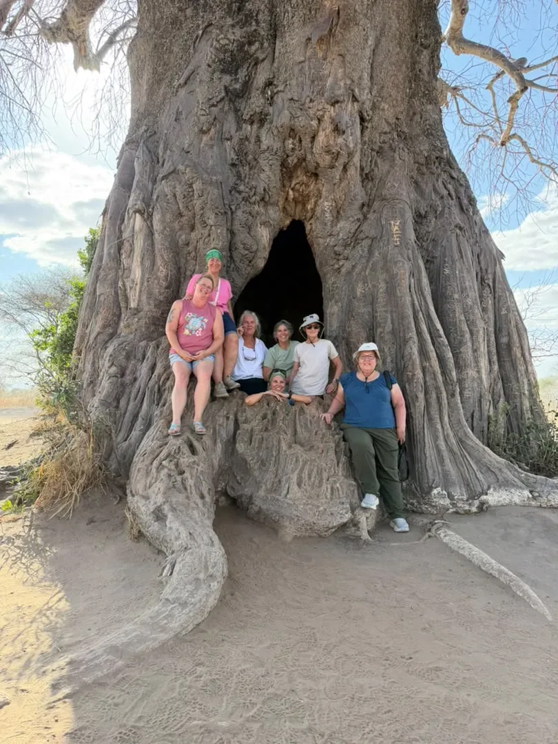 Tarangire-Nationalpark – Guests standing inside a hollow baobab tree