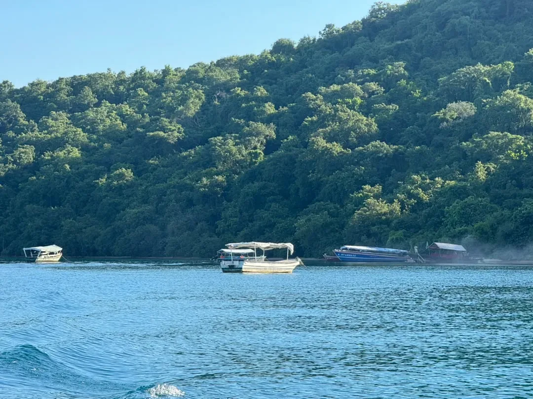 Gombe-Stream-Nationalpark – Boats on Lake Tanganyika below the forested hills of Gombe