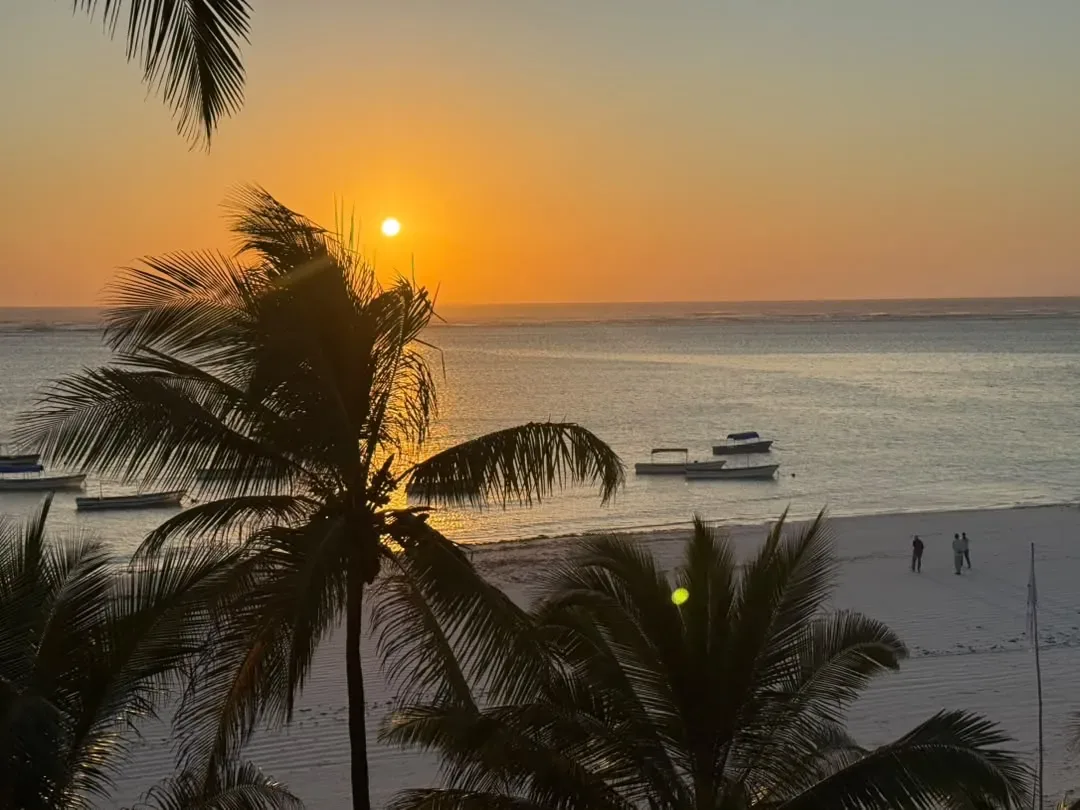 Sansibar – The sun setting over the Zanzibar beach through palm trees