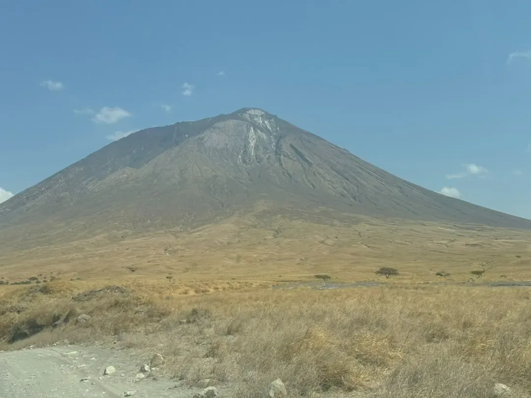 Lake Natron – Ol Doinyo Lengai seen across the golden grassland