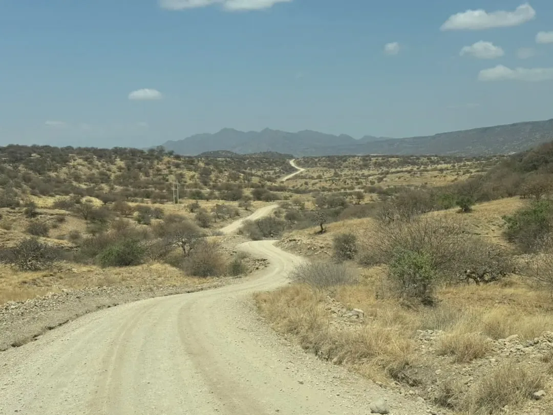 The winding gravel road through the bush to Lake Natron