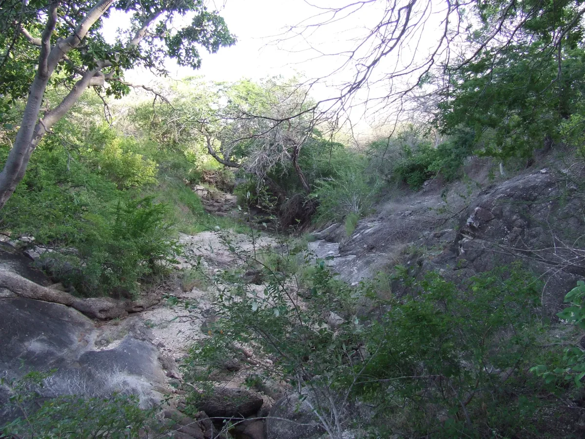 Mkomazi-Nationalpark – Rocky gully and dense bush in Mkomazi National Park