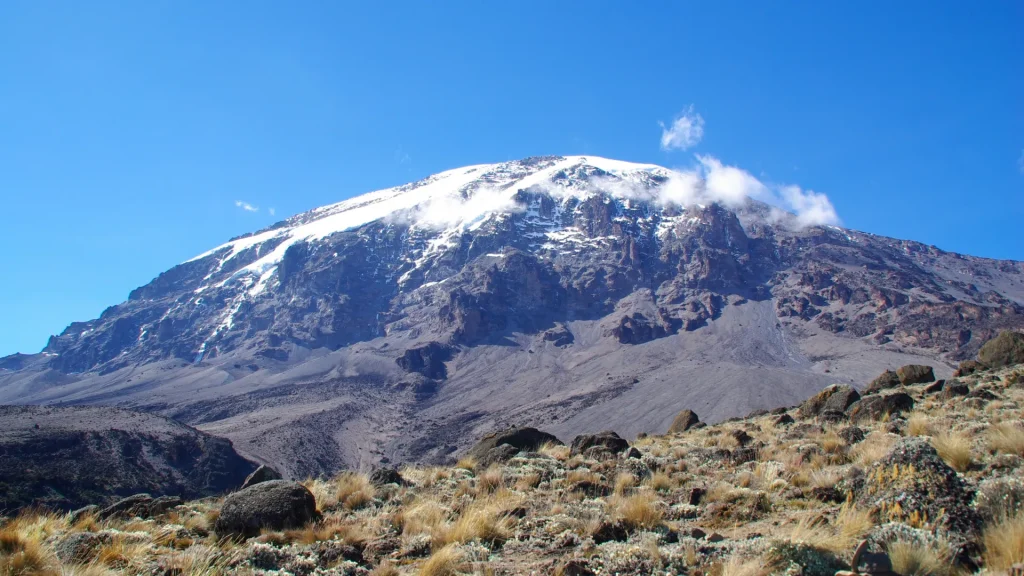Kilimanjaro Climb – Lemosho Route (8 Days)