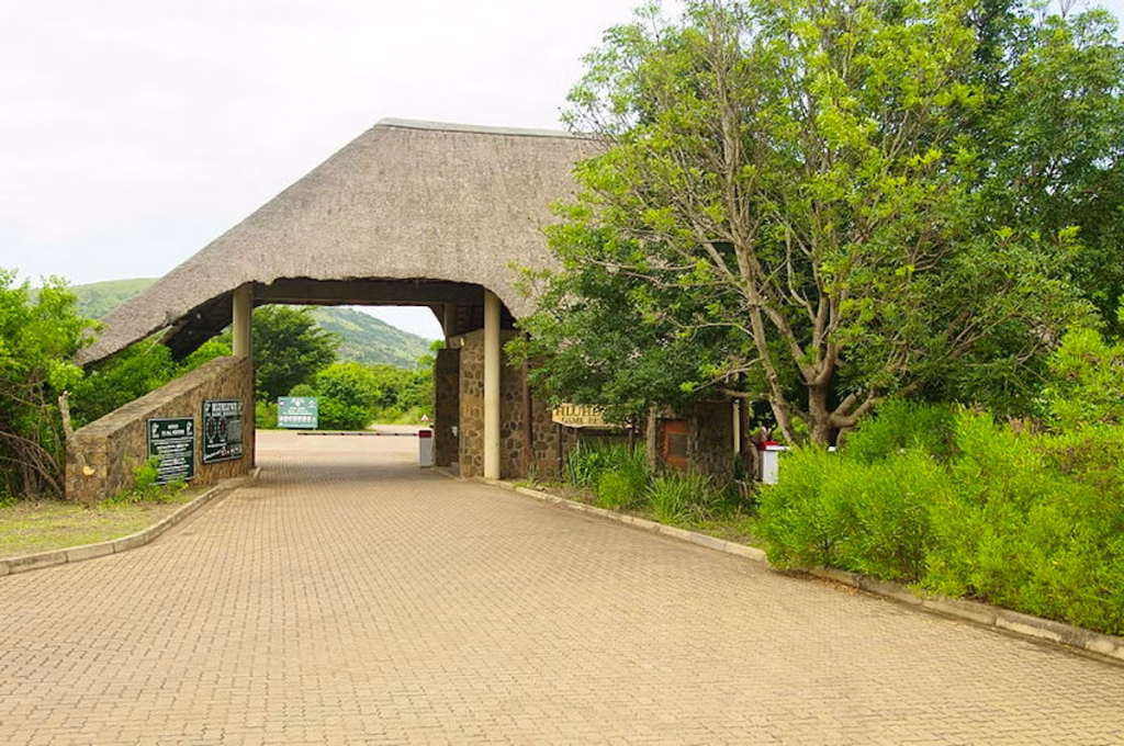 Hluhluwe-iMfolozi Park