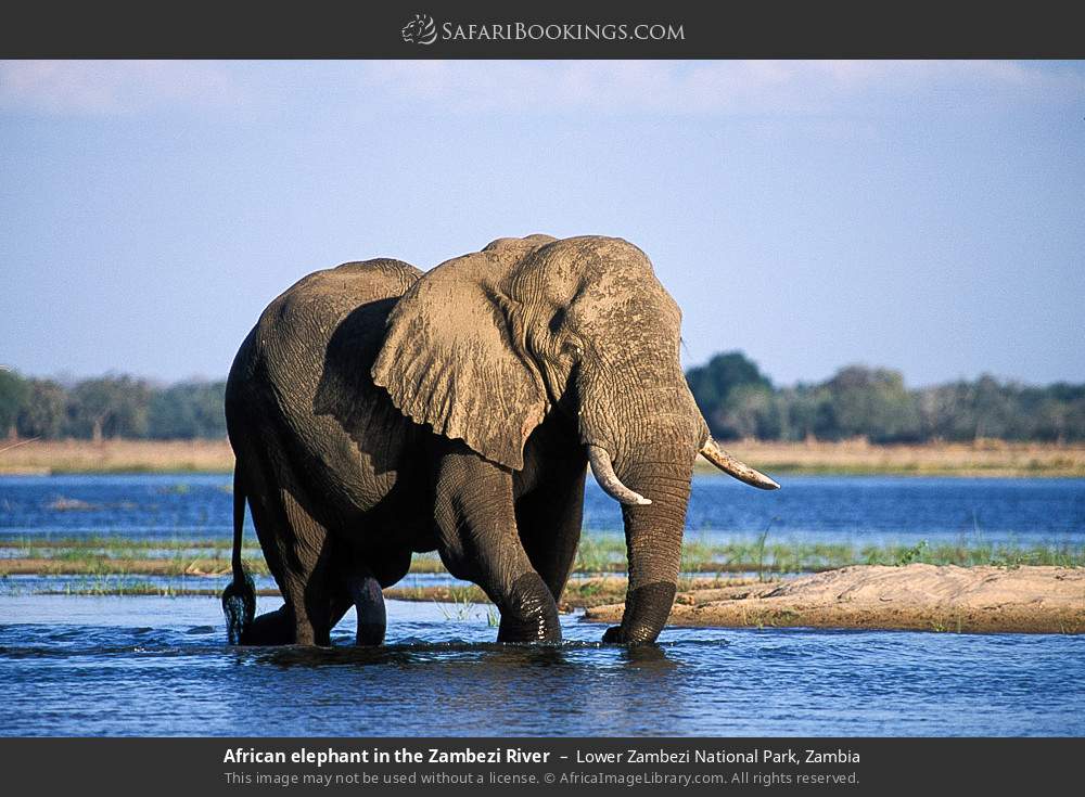 Lower Zambezi National Park
