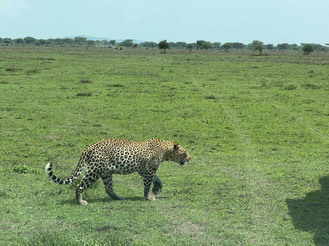 WhatsApp Image 2026-04-16 at 13.41.56 (2)