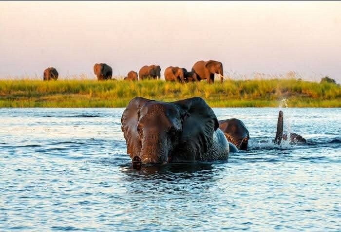 Okavango Delta